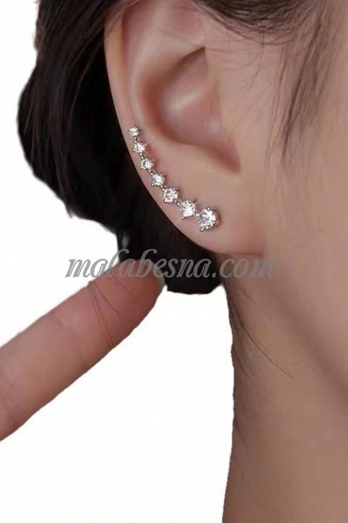 Silver earrings with diamond in the middle
