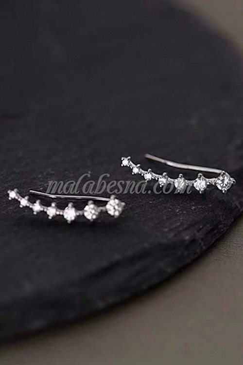 Silver earrings with diamond in the middle